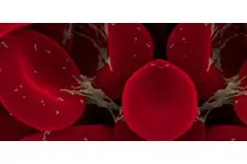 Kanda Trombosit Belirtileri ve Tedavisi