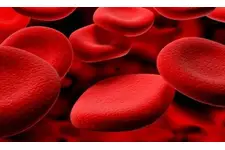 Trombosit Artıran Yiyecekler Nelerdir?