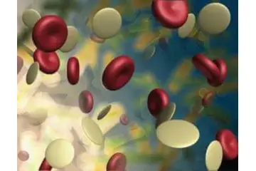 Trombosit Artışı Belirtileri