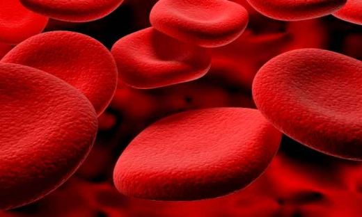 Trombosit Artıran Yiyecekler Nelerdir?