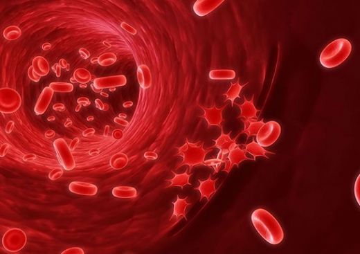 Trombosit Düşüklüğü Belirtileri ve Tedavisi